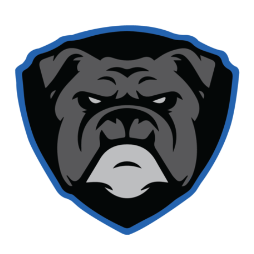 Diamond Group Security